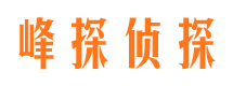 丹棱市调查公司